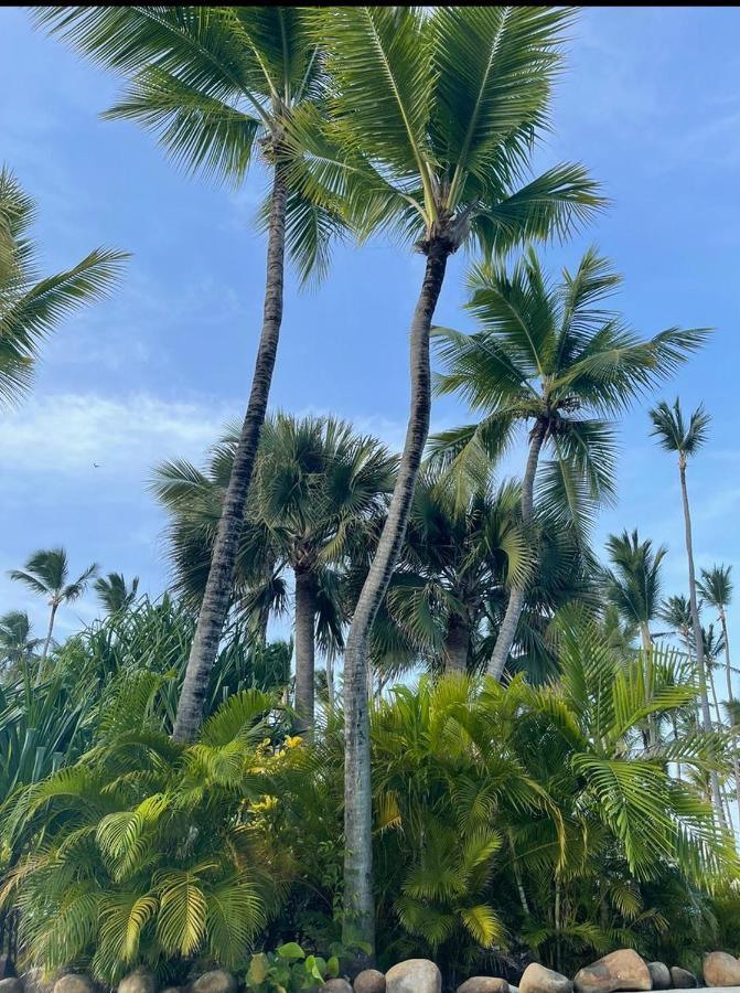 Yonah Comfort Punta Cana, Shared Apartment Eksteriør bilde
